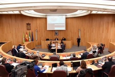 Imagen del pleno celebrado en la Diputación de Granada (DIPUTACIÓN) Imagen del pleno celebrado en la Diputación de Granada (DIPUTACIÓN)