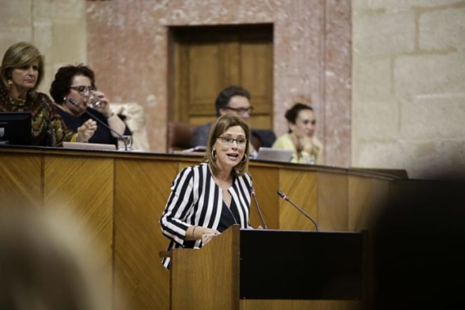 Mar Sánchez, parlamentaria andaluza de CS (CIUADANOS)