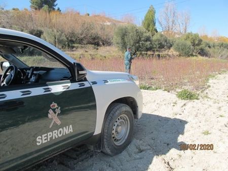 Imagen de las investigaciones realizadas en el vivero (GUARDIA CIVIL) 