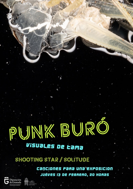Concierto de Punk Buro