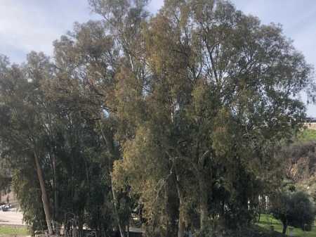 AYTO. ÓRGIVA AYTO. ÓRGIVA