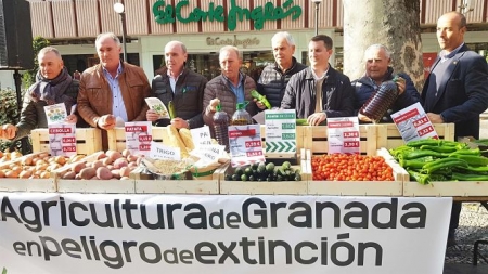 Imagen de la concentración de los agricultores de Granada (FAECA) Imagen de la concentración de los agricultores de Granada (FAECA)