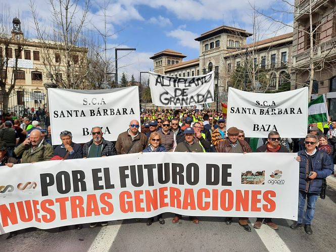 Representación de Baza en la manifestación (AYTO. BAZA)