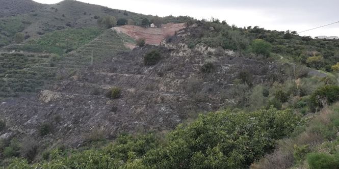 Zona quemada en Almuñécar (AYTO. ALMUÑÉCAR)