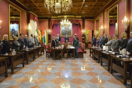 Pleno del Ayuntamiento de Granada (AYTO. GRANADA) 