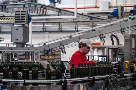 Producción de Aceites Maeva (EXTENDA) Producción de Aceites Maeva (EXTENDA)