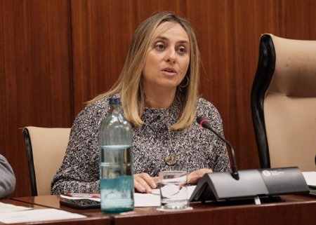 Marifrán Carazo en la comsiiónd e Fomento (JUNTA)