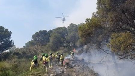 Bomberos del Infoca trabajando en la zona del incendio (INFOCA) 