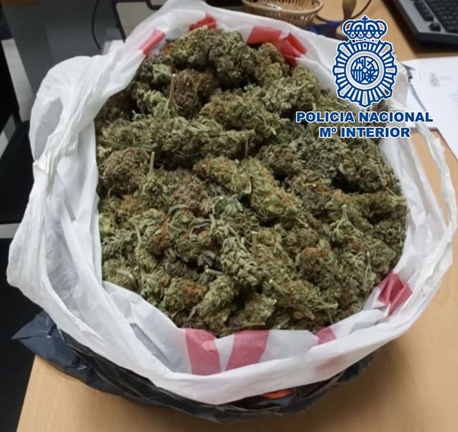 Bolsa de cogollos de Marihuana incautada (POLICÍA NACIONAL) 