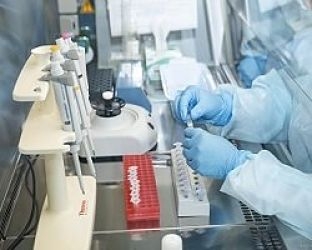 Laboratorio (OMS) 