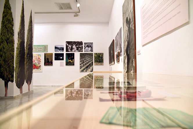 Diputación aplaza su agenda cultural (J. GROSSO /DIPGRA) 