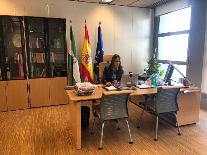 Videoconferencia de la delegada territorial de Empleo, Formación, Trabajo Autónomo y Economía, Conocimiento, Empresas y Universidad, Virginia Fernández (JUNTA) 