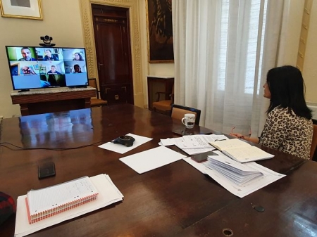 Videoconferencia de la subdelegada con las instituciones que componen la comisión (SUBDELEGACIÓN) Videoconferencia de la subdelegada con las instituciones que componen la comisión (SUBDELEGACIÓN)