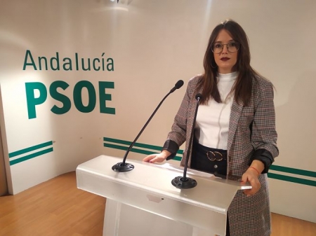 Maria Ramirez, responsable de Educación del PSOE (PSOE) 