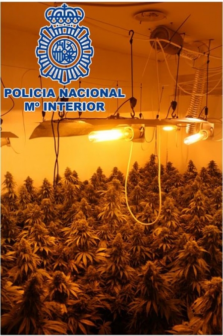 Una de las plantaciones desmanteladas (POLICÍA NACIONAL) Una de las plantaciones desmanteladas (POLICÍA NACIONAL)