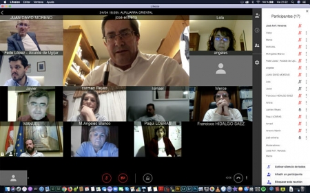 Reunión por videoconferencia con los alcaldes de la Alpujarra (DIPUTACIÓN) 