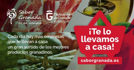 DIPUTACIÓN DE GRANADA DIPUTACIÓN DE GRANADA