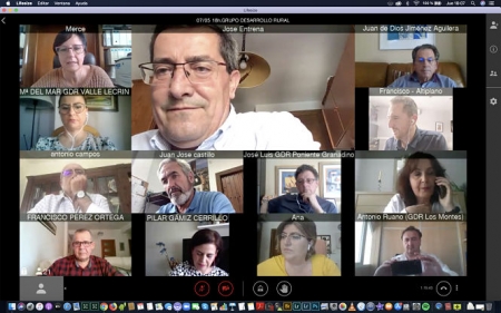 Imagen de la videoconferencia con los Grupos de Desarrollo Rural (DIPUTACIÓN) Imagen de la videoconferencia con los Grupos de Desarrollo Rural (DIPUTACIÓN)