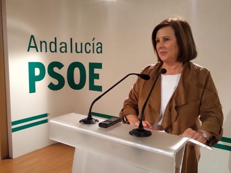 La parlamentaria andaluza del PSOE, María José Sánchez Rubio (PSOE) La parlamentaria andaluza del PSOE, María José Sánchez Rubio (PSOE)