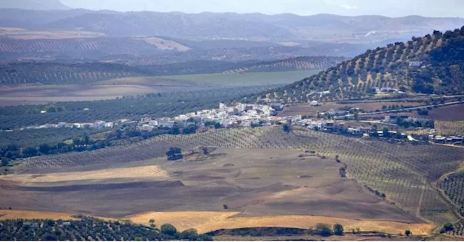Vista de Ventorros de Balerma, aldea dividida entre Iznájar (Córdoba) y Loja (Granada) (AYUNTAMIENTO DE IZNÁJAR)