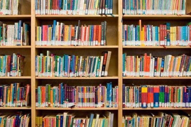 Libros de la Biblioteca de Otura (AYTO. OTURA) 