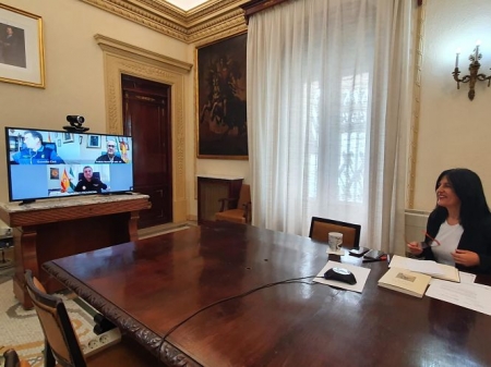Reunión telemática de coordinación policíal (SUBDELEGACIÓN) Reunión telemática de coordinación policíal (SUBDELEGACIÓN)