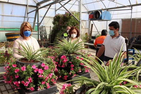 Plantas que decorarán el Centro Comercial Abierto (AYTO. MOTRIL) 
