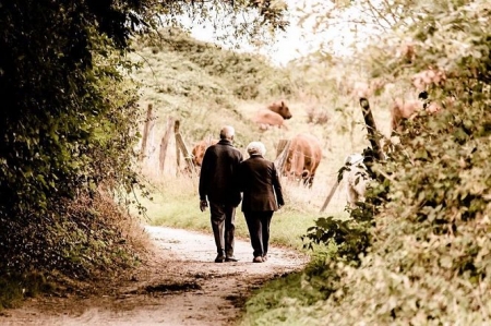 Pensionistas dando un paseo (SUBDELEGACIÓN) 