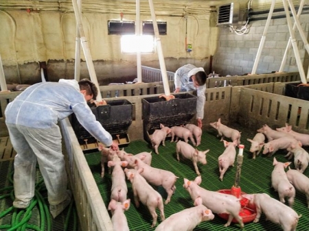 Alumnos del título de FP de Técnico en Producción Agropecuaria de MONTEFRÍO (AYTO. MONTEFRÍO) 