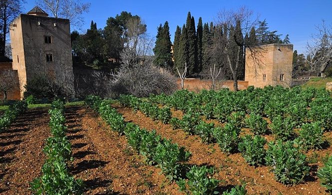 Huertas del Generalife (PATRONATO DE LA ALHAMBRA) 