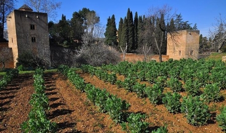 Huertas del Generalife (PATRONATO DE LA ALHAMBRA) Huertas del Generalife (PATRONATO DE LA ALHAMBRA)