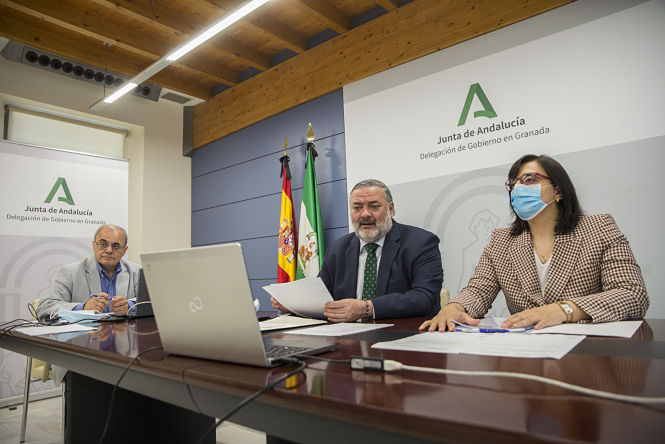 Imagen de la reunión telemática con el Infoca (JUNTA) 