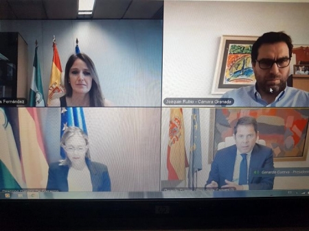 Imagen de la reunión telemática (JUNTA)