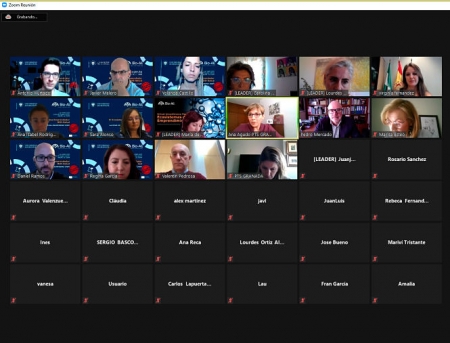 Imagen de la reunión telemática (UGR)