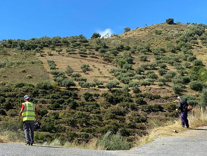 Imágenes de las actuaciones de limpieza (AYTO. ALMUÑECAR) 