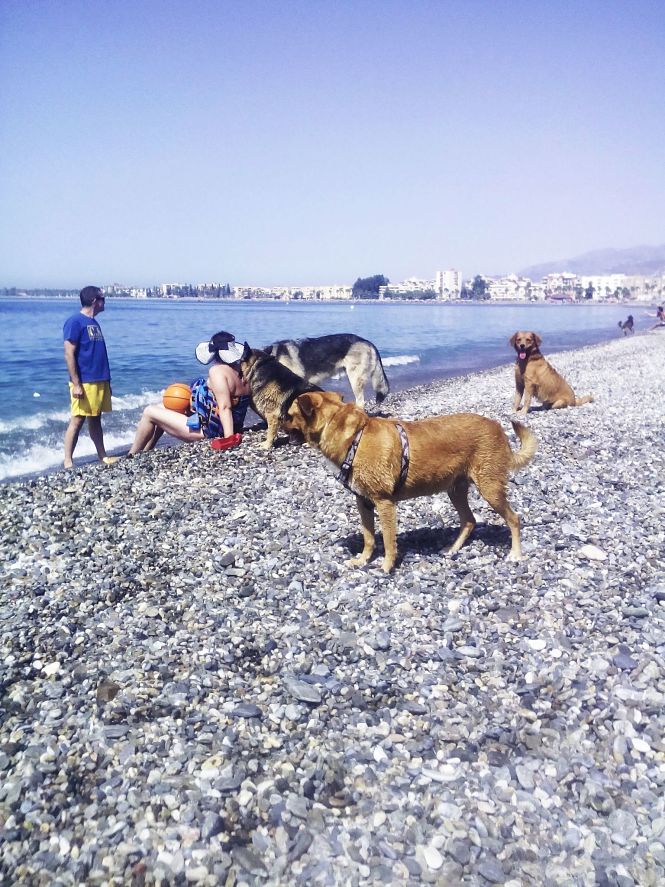 Playa Can en Motril (AYTO. MOTRIL /ARCHIVO) 