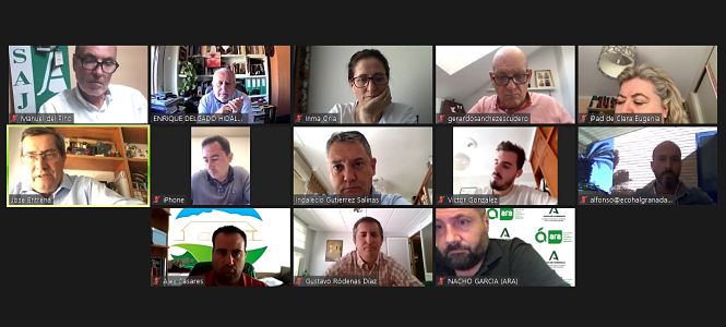 Imagen de la reunión TELEMÁTICA (PSOE) 