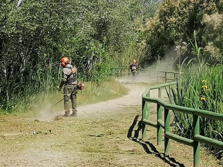 Unos operarios desinfectan la Charca de Suárez (AYTO. MOTRIL) 
