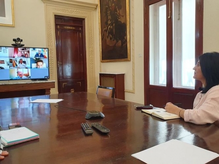 Reunión telemática entre Subdelegación y Junta (SUBDELEGACIÓN) 