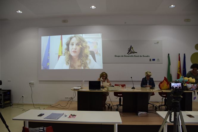 Imagen de la charla de aRuth Martos durante el Taller (JUNTA) 