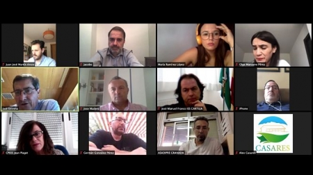 Reunión telemática con sectores educativos (PSOE)