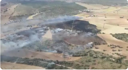 Lugar donde se ha producido el incendio (PLAN INFOCA) 