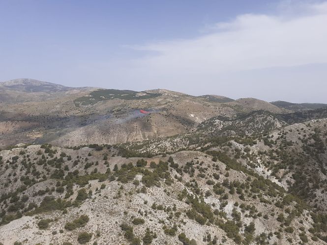 Lugar donde se ha producido el incendio (PLAN INFOCA) 