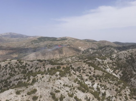 Lugar donde se ha producido el incendio (PLAN INFOCA) 