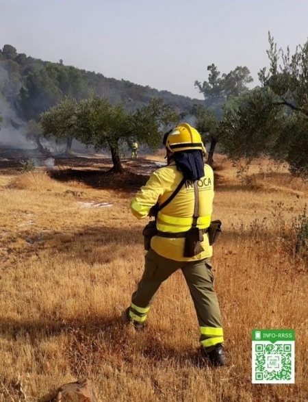 Un bombero forestal en una imagen recurso (INFOCA)