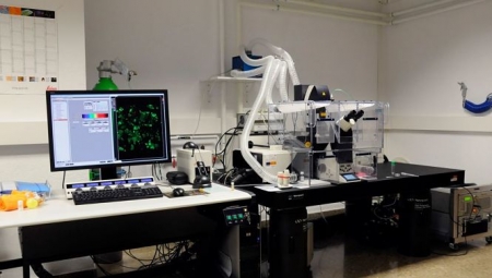 Laboratorio de la Universidad de Granada (UGR)