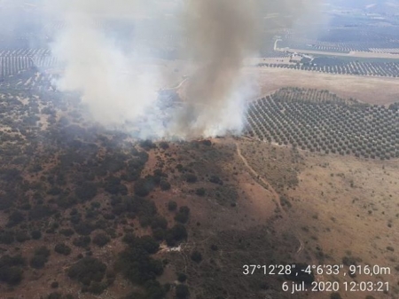 Incendio forestal declarado en un paraje de Loja (Granada) (PLAN INFOCA)