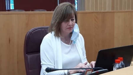 Cristina Jiménez, Diputada provincial de Vox (VOX)