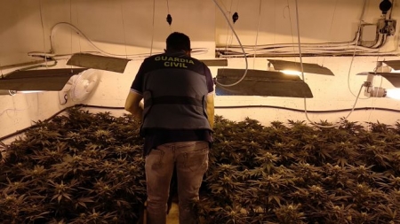 Una de las plantaciones incautadas (GUARDIA CIVIL)