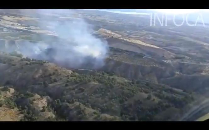 Incendio forestal de Guadix (INFOCA) 